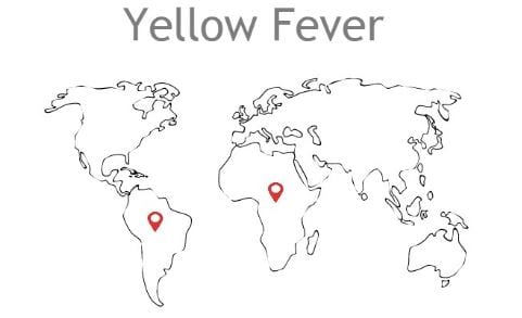 yf