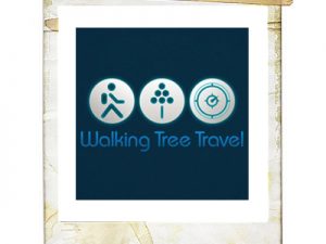 February Snapshot: Walking Tree Travel