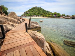 Travel Safe: Colombia Warns of Dengue Fever Outbreak