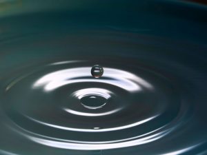 Organization Snapshot: Blood:Water Mission