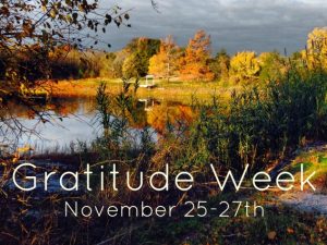 Gratitude Week 2013