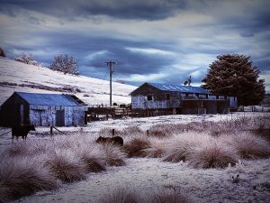 Uncommon Volunteer Opportunities: Skillstay