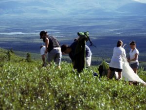 Why Should I Volunteer?