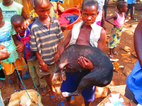 Number Two, the dog, and local children of Freetown, Sierra Leone. 