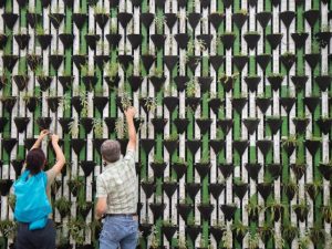 Qualities of a Great Volunteer: Integrity