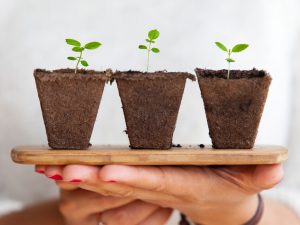 Benefits of Volunteering: Professional Growth