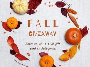 You Could Win a $100 Patagonia Gift Card